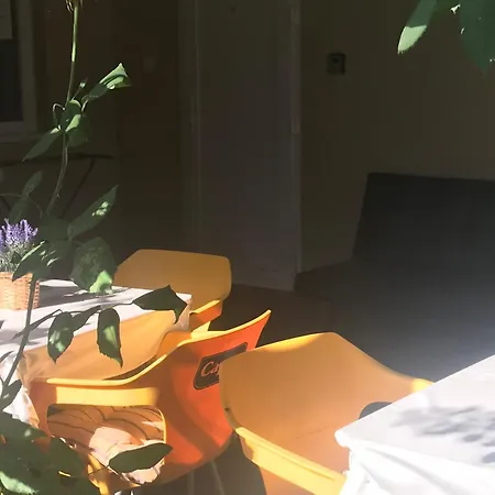 Borbély * Nagykanizsa